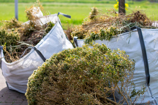 Reliable Walton, KY Junk Removal Solutions
