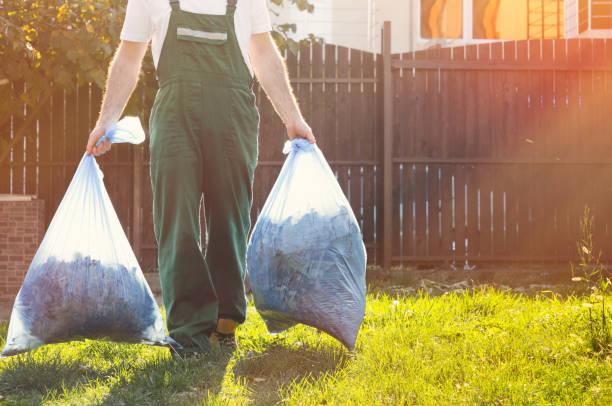 Best Dumpster Rental Services  in Walton, KY
